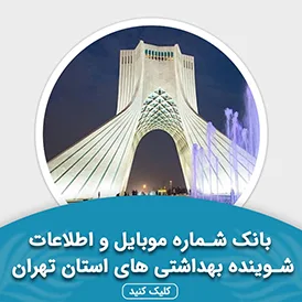 بانک اطلاعات شوینده بهداشتی های استان تهران