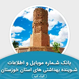 بانک اطلاعات شوینده بهداشتی های استان خوزستان