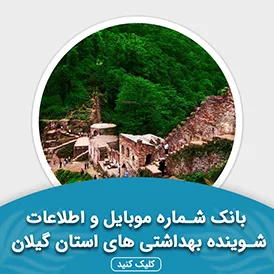 بانک اطلاعات شوینده بهداشتی های استان گیلان