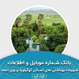 بانک اطلاعات شوینده بهداشتی های استان کهگیلویه و بویر احمد